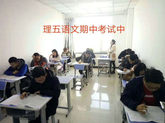 理5语文期中考试